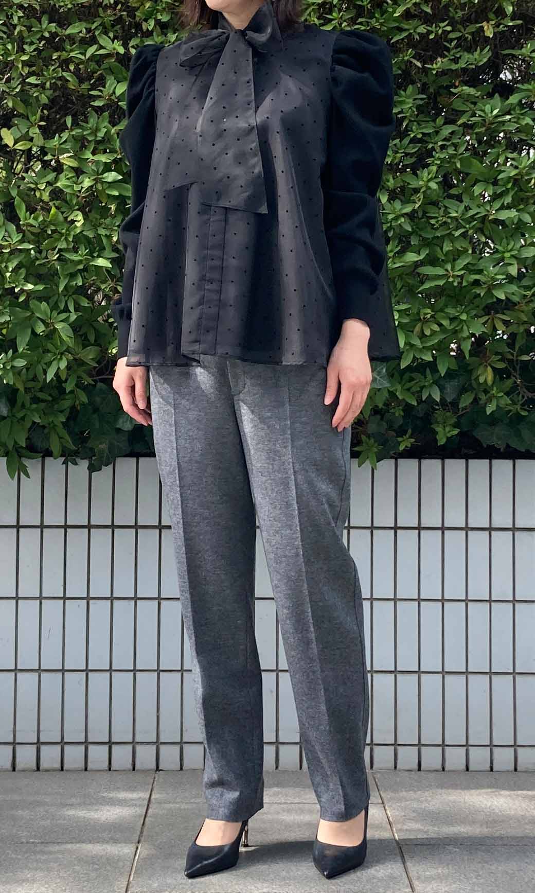 CELFORD｜ニットコンビオーガンジーブラウス