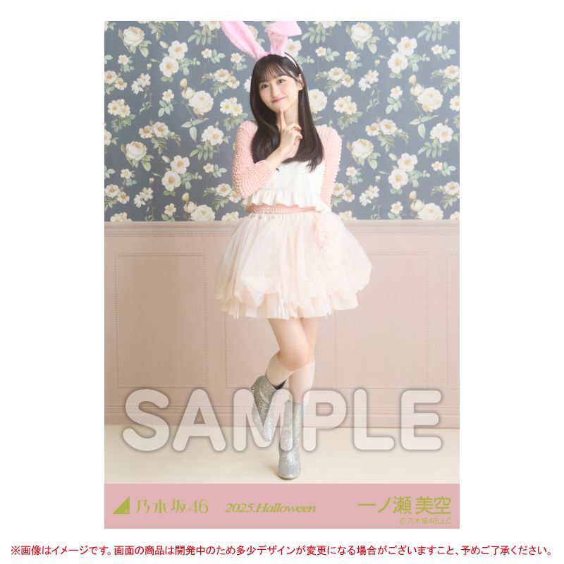 乃木坂46 OFFICIAL WEB SHOP | 乃木坂46 グッズ通販サイト