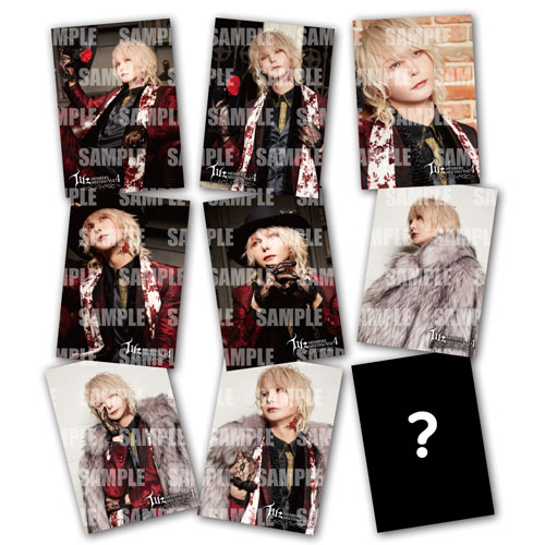 luz Official Website