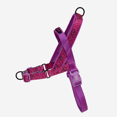 Peitoral para Cachorros Softerwalk Melted | Zee.Dog