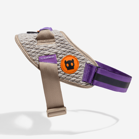 Peitoral para Cachorros FlyHarness Galaxy | Zee.Dog
