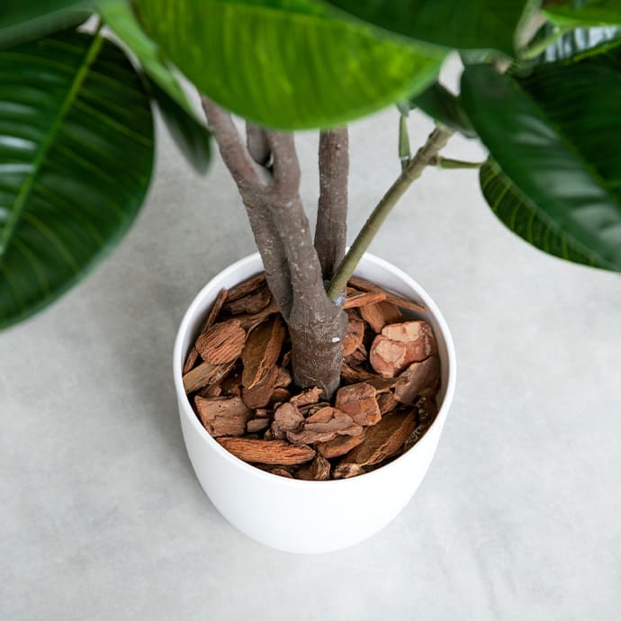 g162003]【高さ85cm】Nature 光触媒人工観葉植物 オリーブ 観葉植物