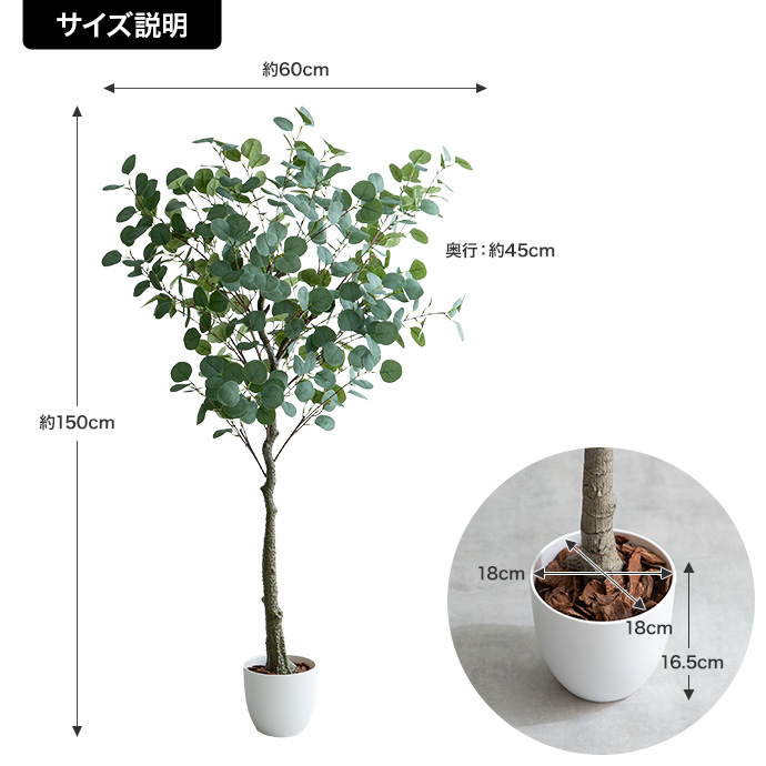g162015]【高さ150cm】Nature 光触媒人工観葉植物 ユーカリ 観葉植物