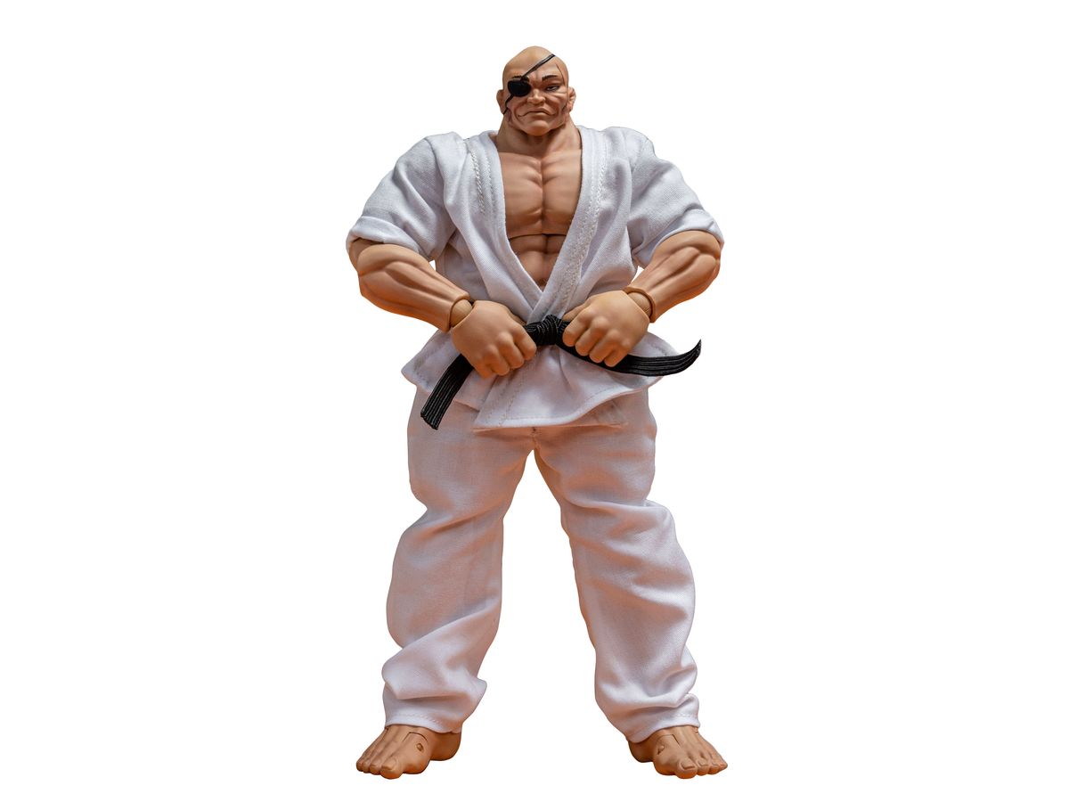 scc96972_0_1732170006.jpg?v=