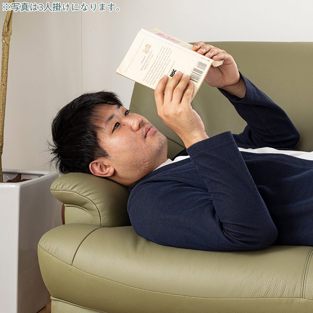 カリモク］【地域限定】3人掛ソファ Z12253SPG グリーン(ルーク)(3人