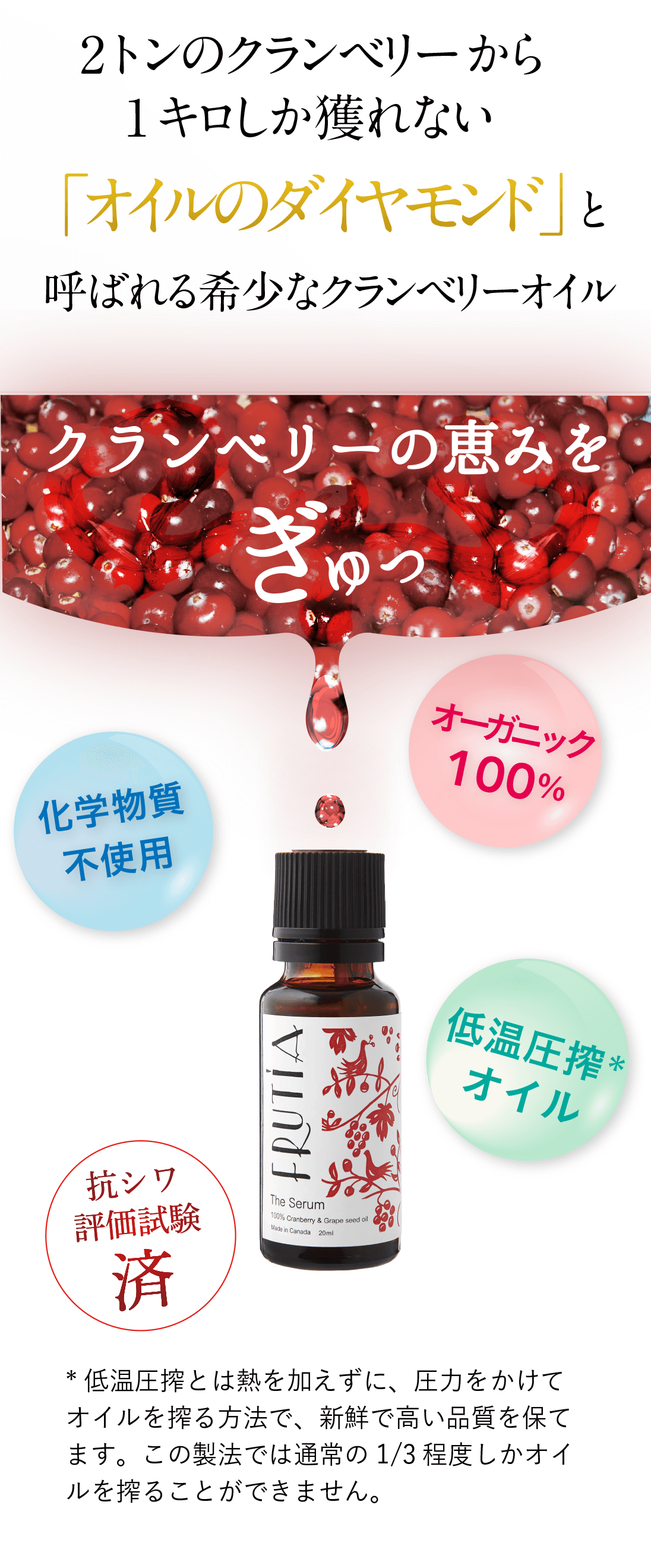 ザ・セラム | フルティア