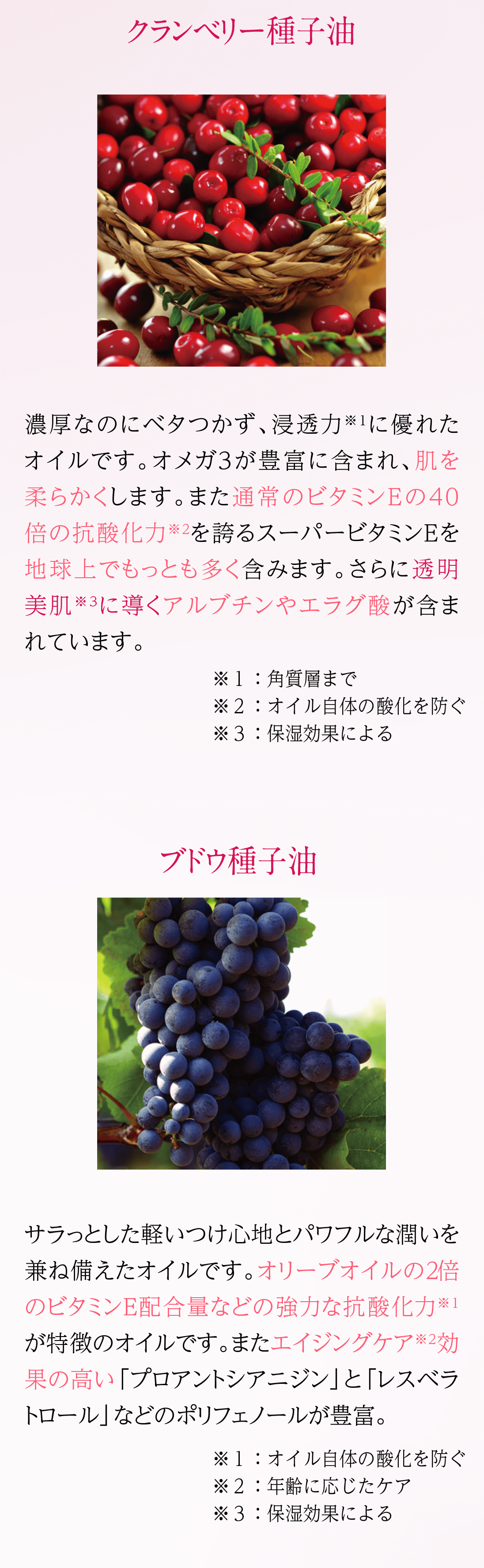 ザ・セラム | フルティア