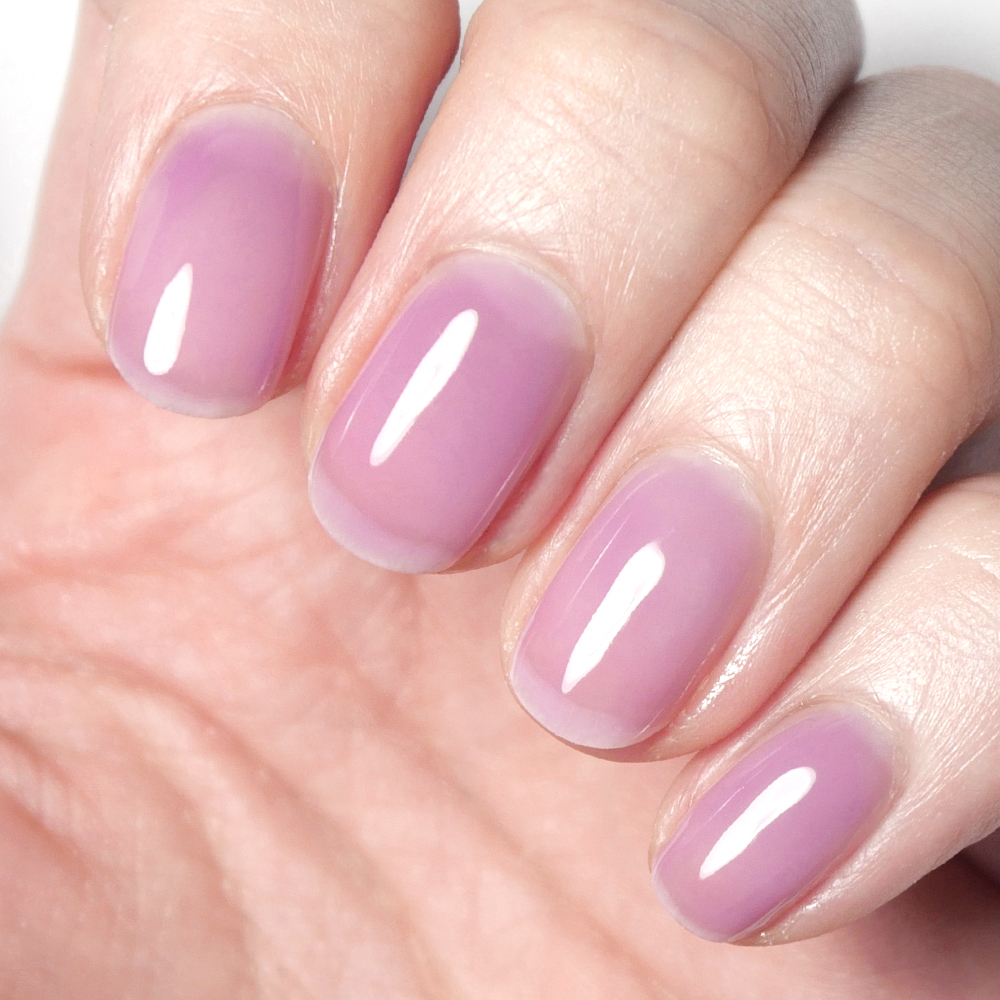 販売終了】HOMEI ウィークリージェル WF22 Purple Veil (パープル