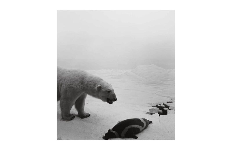 Dioramas - 杉本博司| moom bookshop - 藝術書籍與雜誌