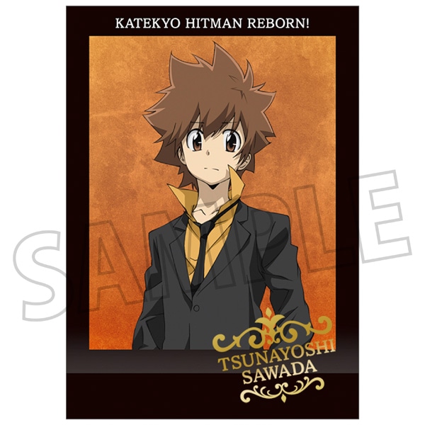 家庭教師ヒットマン REBORN！ ぱしゃこれ: トレーディングカード