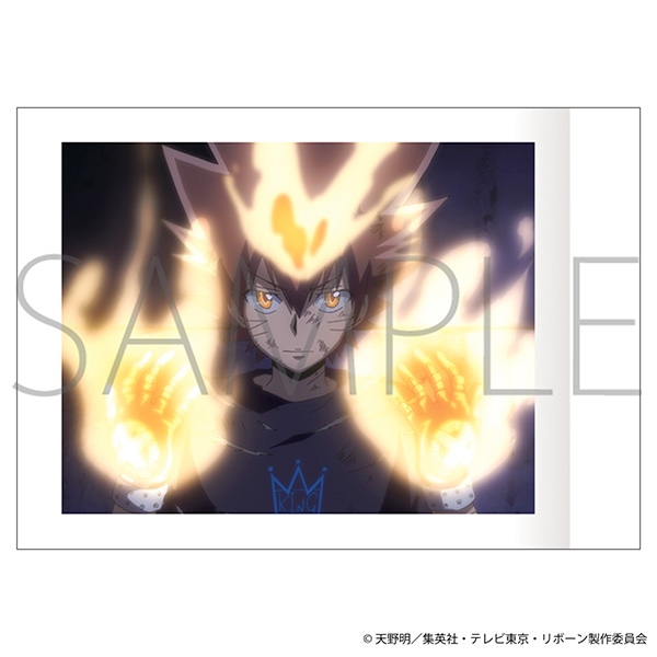 家庭教師ヒットマン REBORN！ ぱしゃこれ 第3弾: トレーディングカード