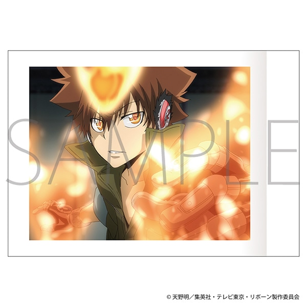 家庭教師ヒットマン REBORN！ ぱしゃこれ／第5弾: トレーディング