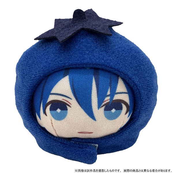 初音ミクシリーズ あにずきん（ぬいぐるみマスコット）／KAITO: キャラ