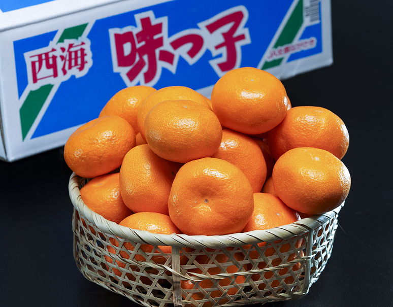 糖度13度以上「味っ子みかん」長崎県産 マル秀〜秀 S〜L 約2.5kg 化粧