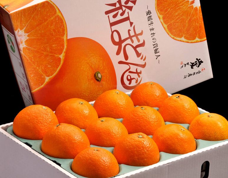 紅まどんな」愛媛県産 L〜3L 約3kg（10〜15玉) 化粧箱 ※常温 JAでの