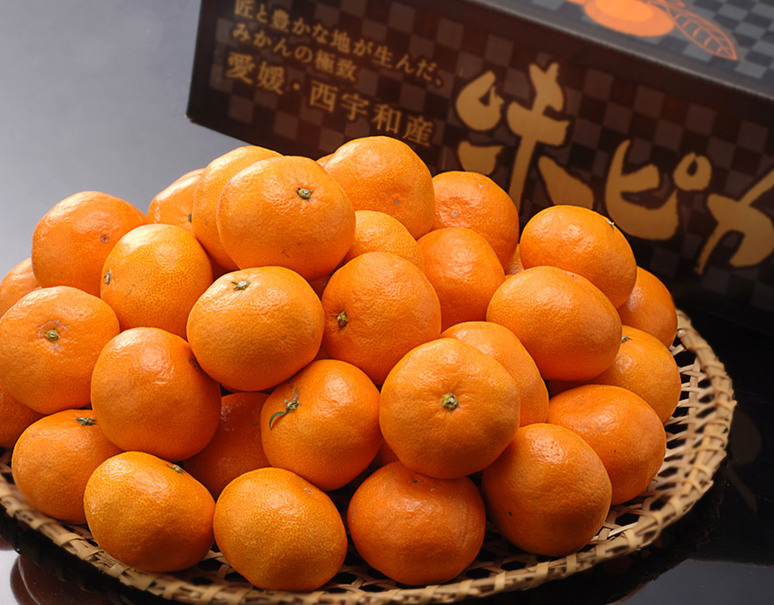 天皇杯受賞産地】糖度12度選別 「味ピカみかん」愛媛県産 川上共選 JA