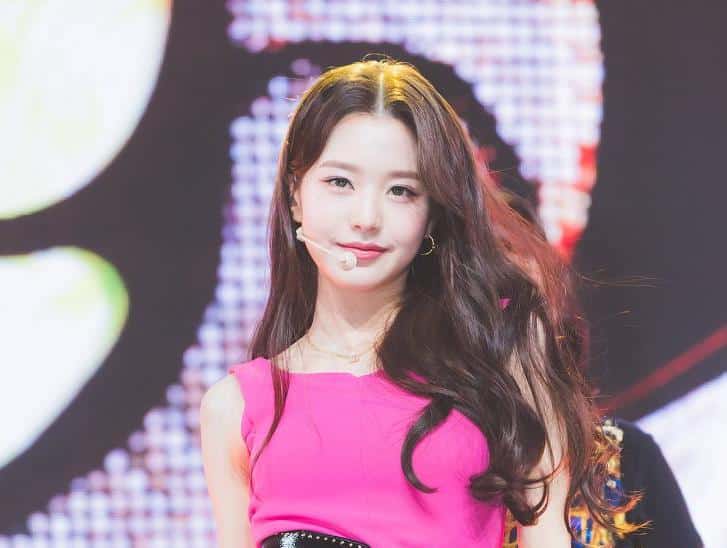 普段なら袋叩きなのに・・IVE ウォニョン 子供に対する行動が擁護され