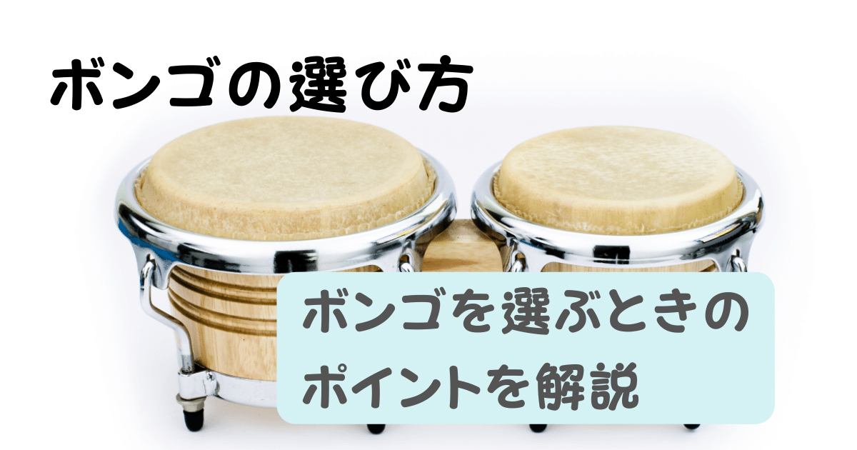 パーカッション初心者向け】ボンゴの選び方・選ぶときのポイントを解説