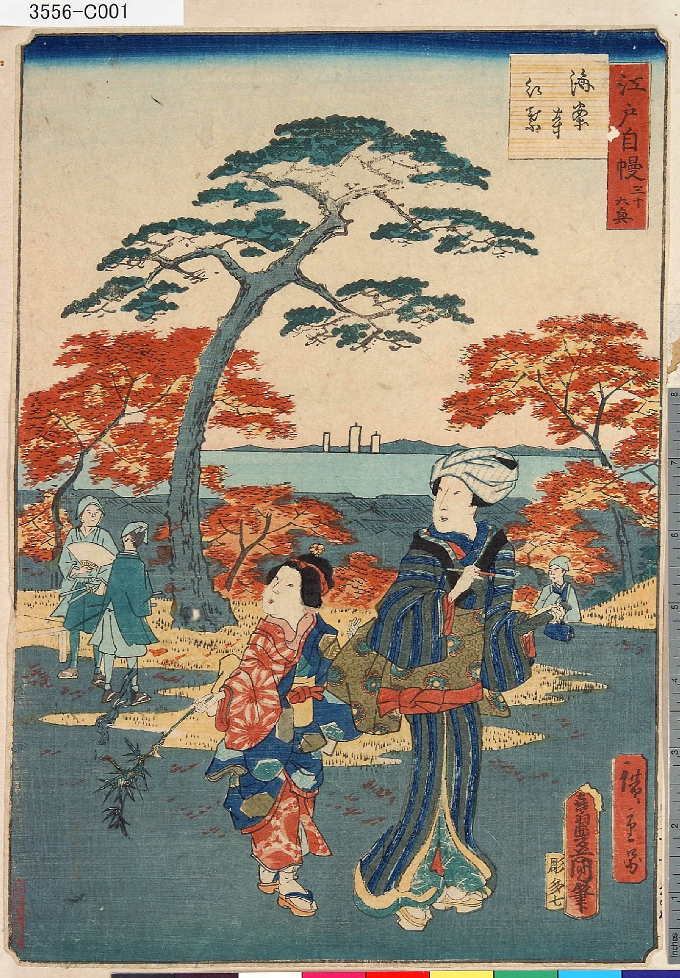 歌川国貞による浮世絵「「江戸自慢三十六興」 「海案寺紅葉」」