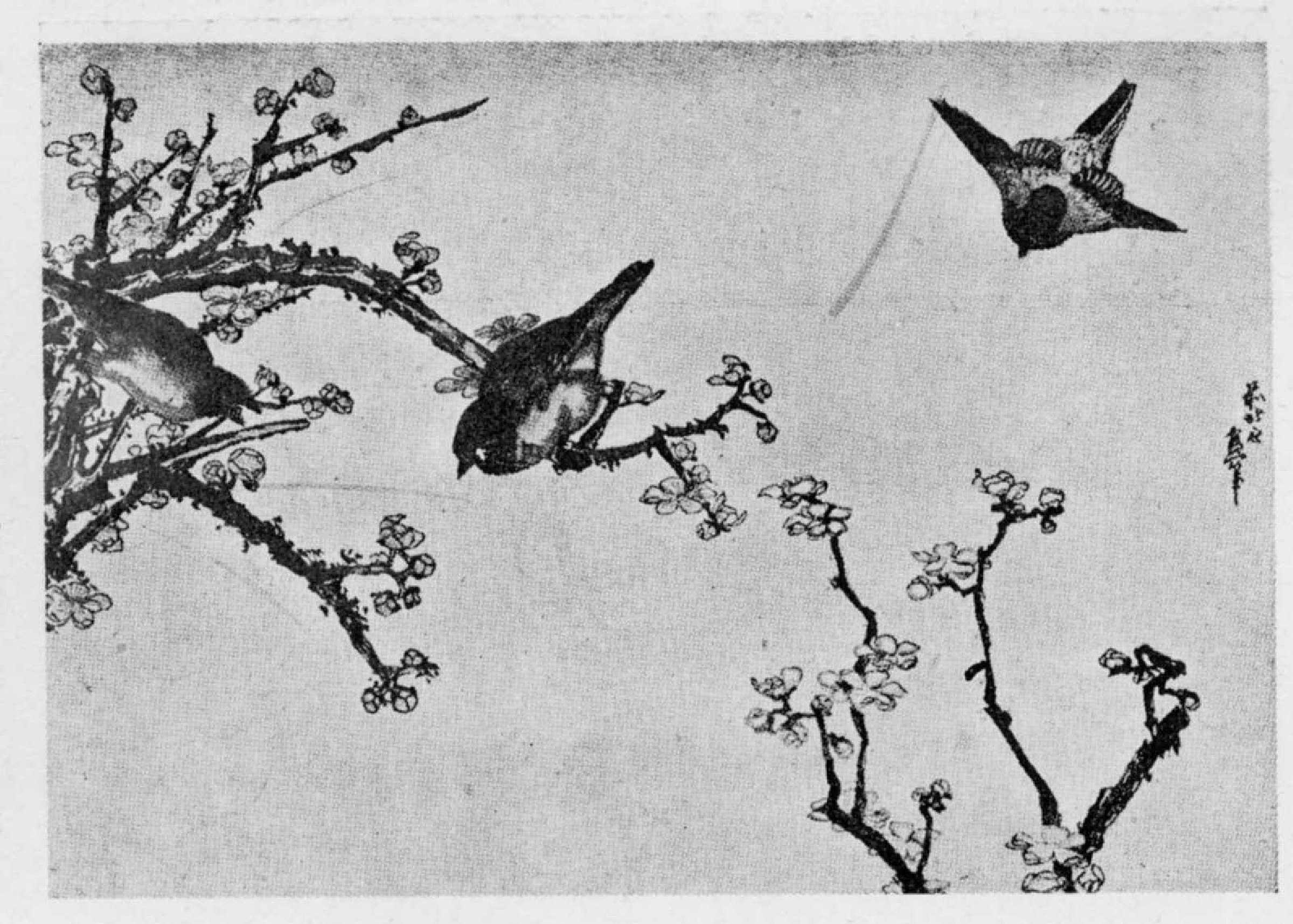 葛飾北斎による浮世絵「（梅）」