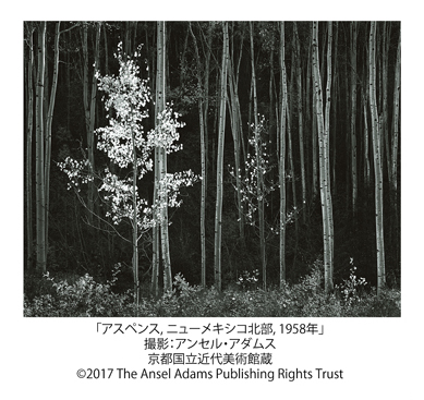 FUJIFILM SQUARE 開館10周年記念写真展：二十世紀の巨匠 美と崇高の