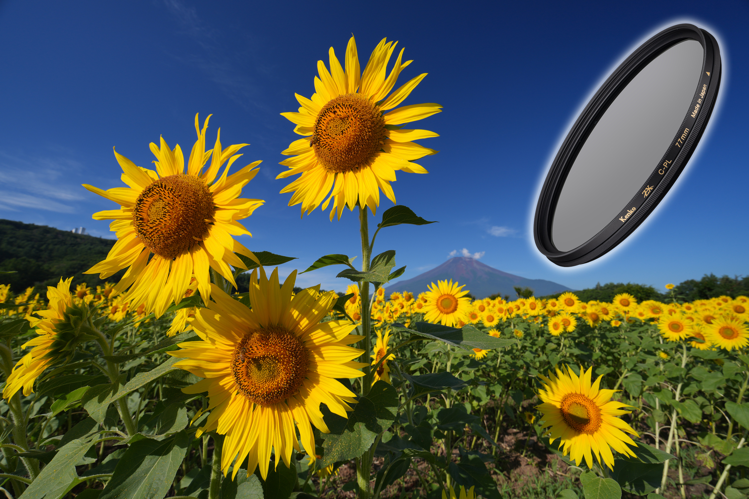 夏の風景を鮮やかに彩る最高性能のフィルター「ZX C-PL N」 - デジカメ