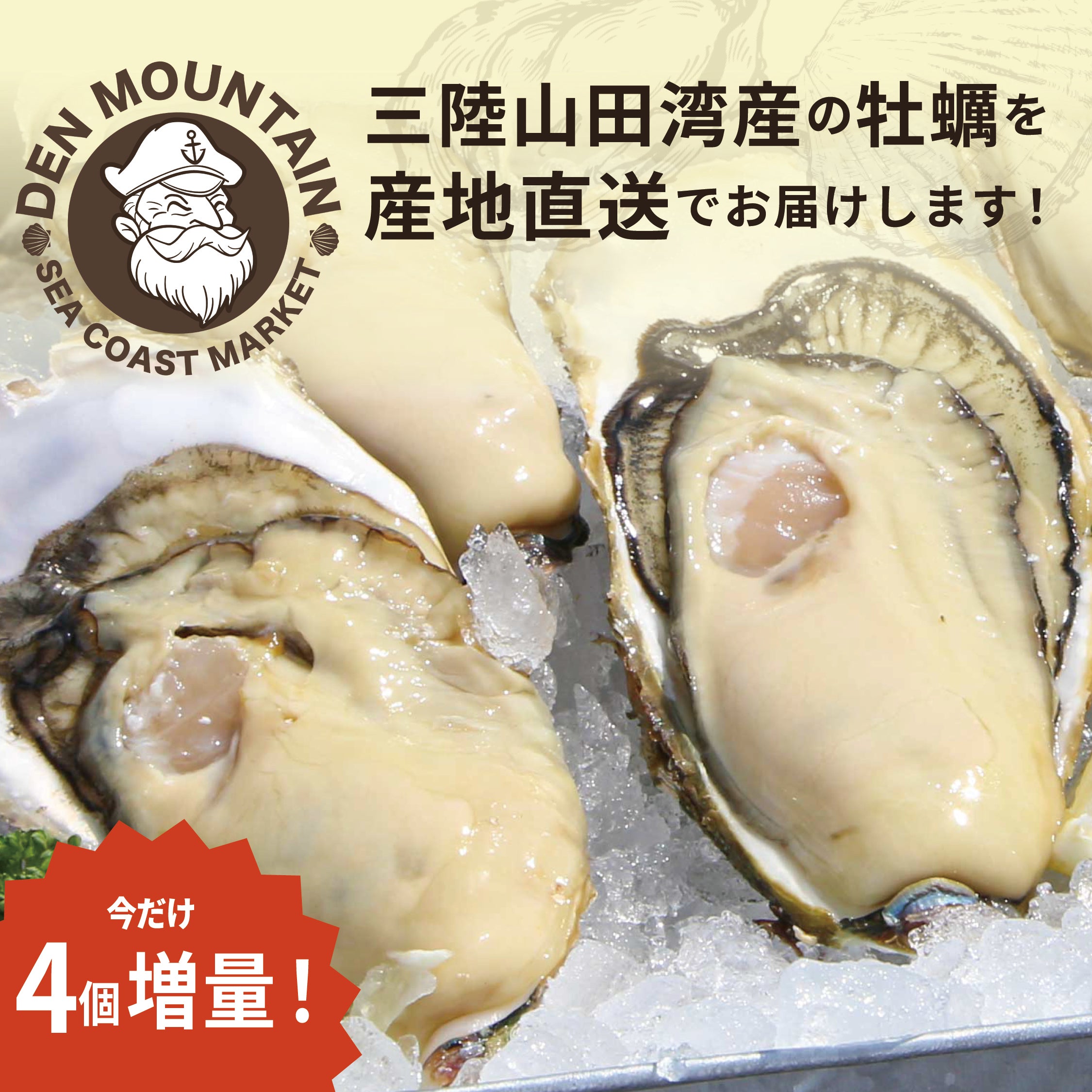 DENMOUNTEAIN_2__1_2.jpg?v=