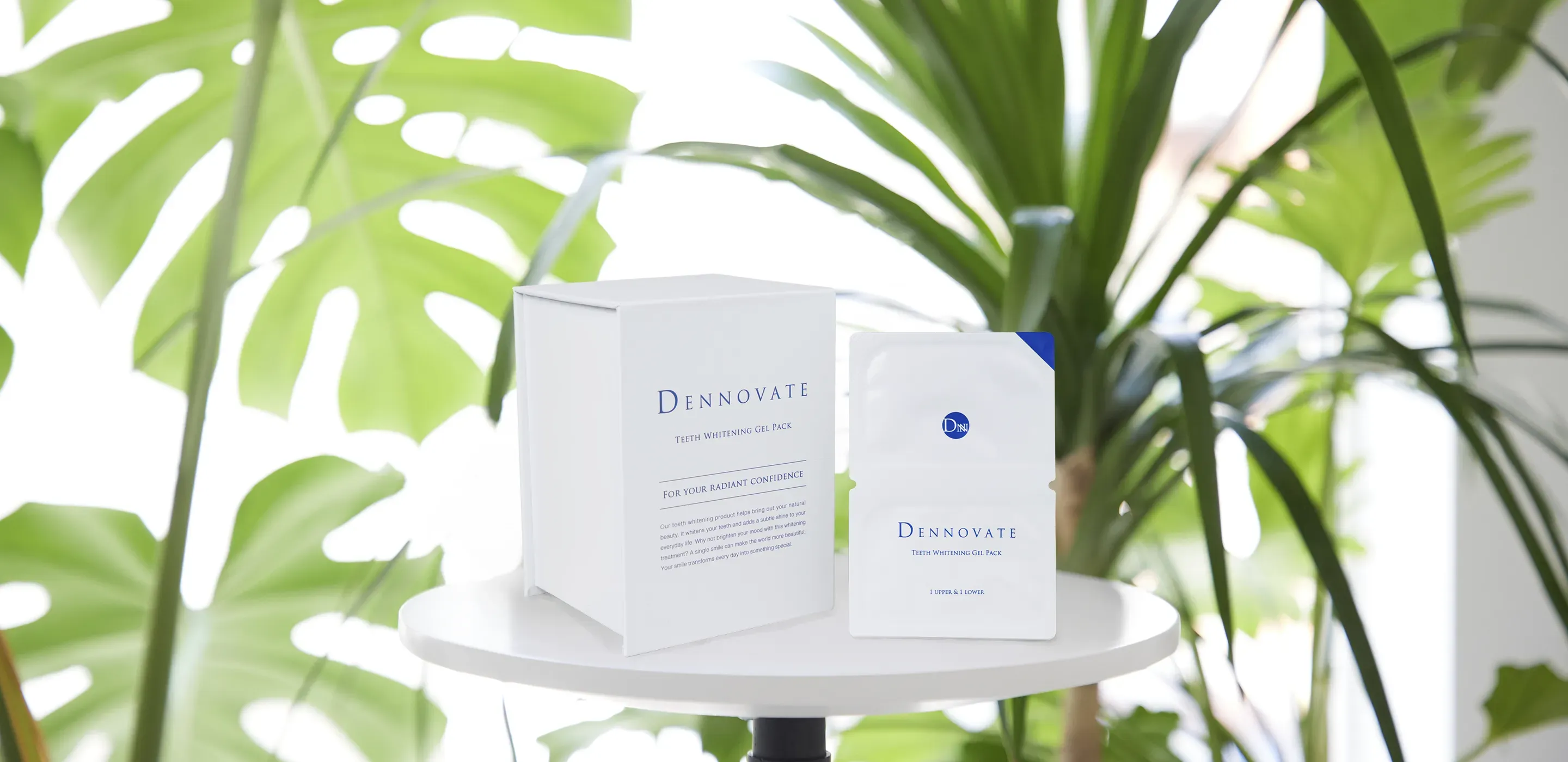 ディノベート 公式ブランドサイト