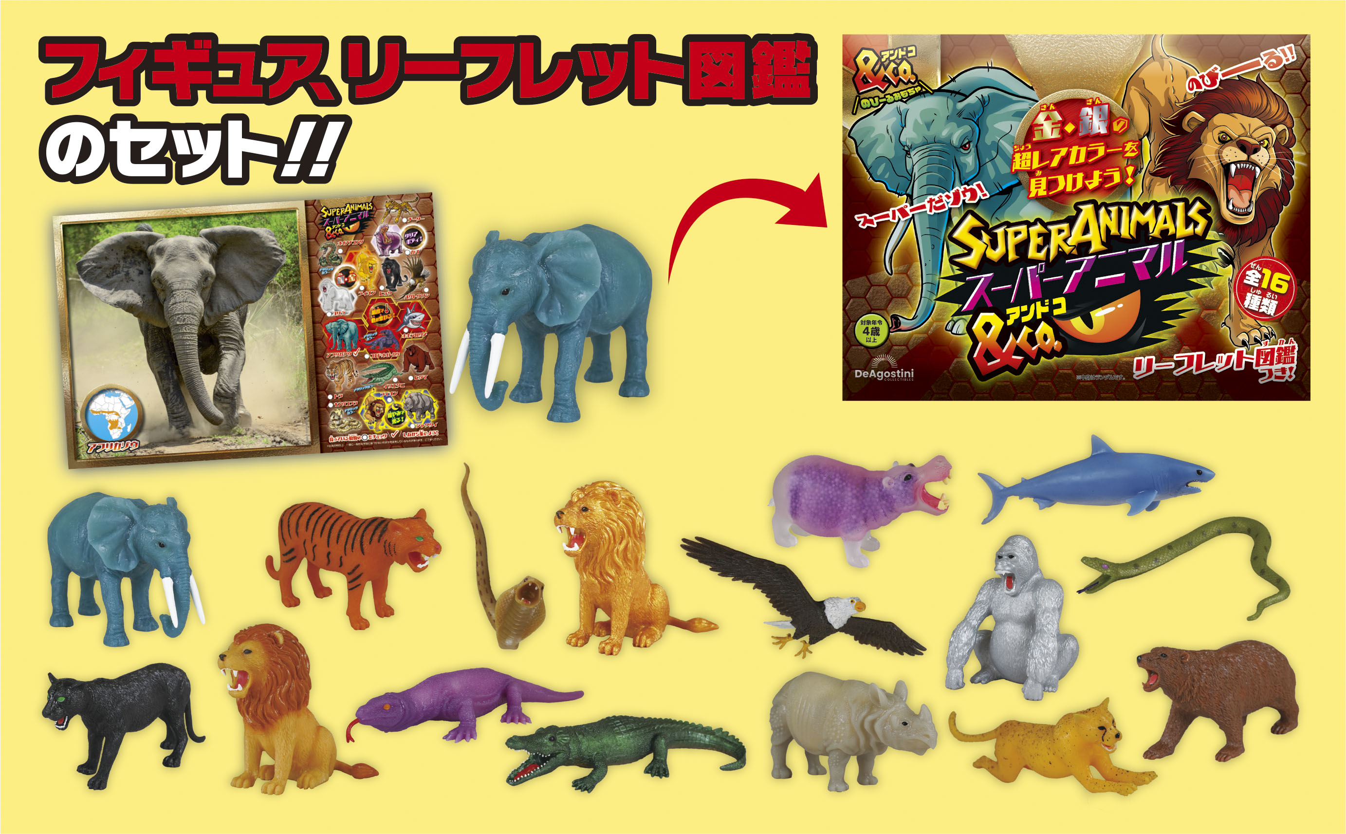 スーパー アニマル&Co.（アンドコ） 全16種コンプリートボックス