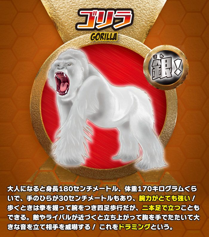 スーパーアニマル＆Co. (アンドコ) | デアゴスティーニ公式