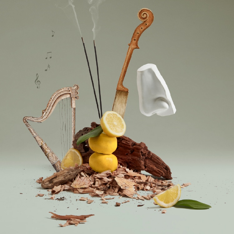 オーパス 1870 オードトワレ 100mL: ペンハリガン｜DEPACO 大丸