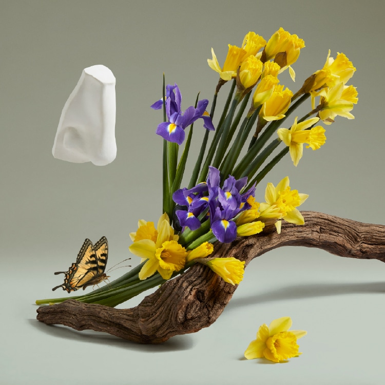 ザ リベンジ オブ レディ ブランシュ オードパルファム: ペンハリガン