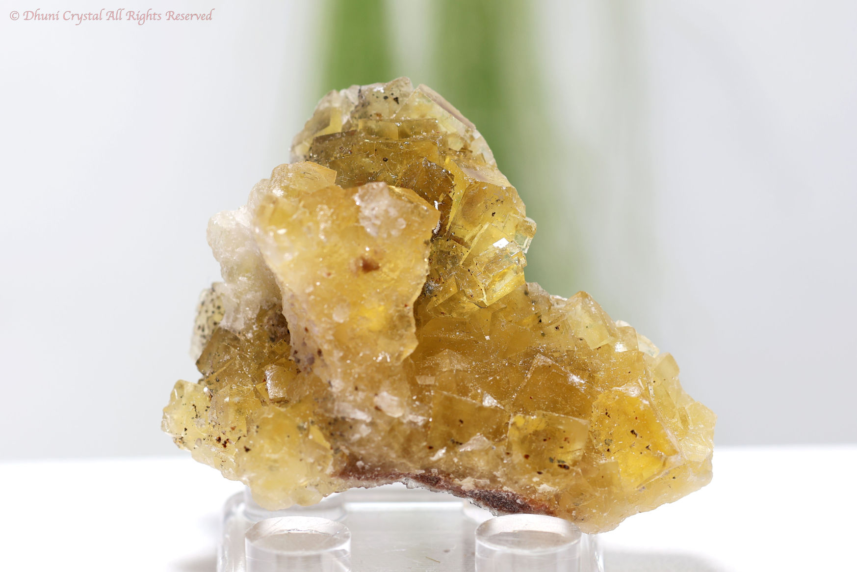 イエロー・フローライト原石/スペイン産(T242)