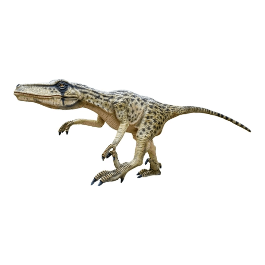 エオカルカリア (Eocarcharia) | 恐竜大百科