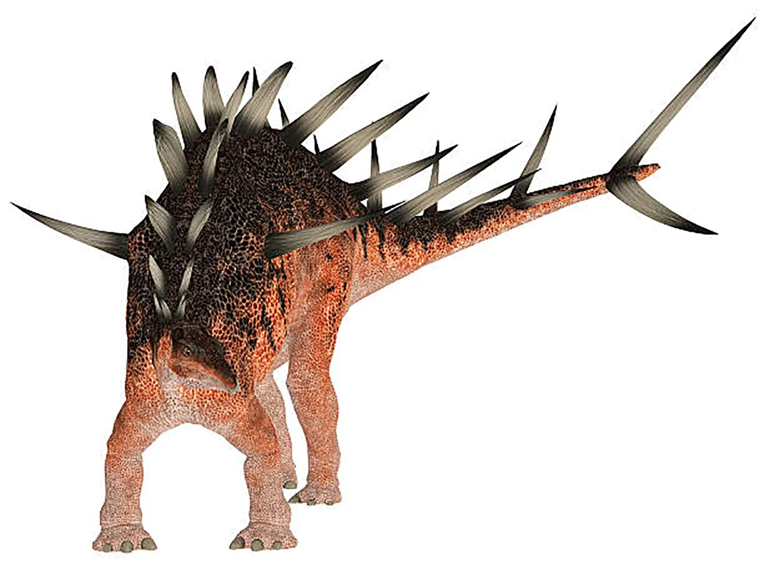 ケントロサウルス (Kentrosaurus) | 恐竜大百科