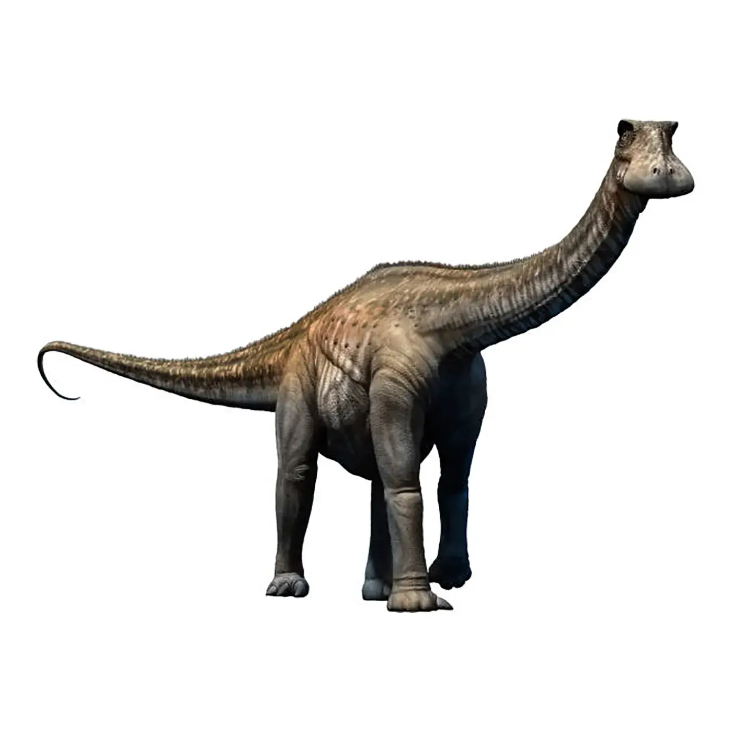 ニジェールサウルス (Nigersaurus) | 恐竜大百科