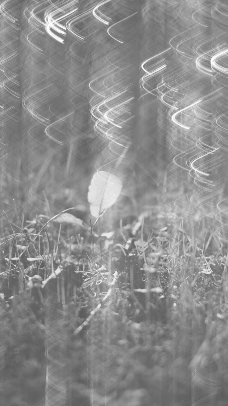 41504 Japanese Citrus | Diffar_Fragrance Hair Oil | ディファー_