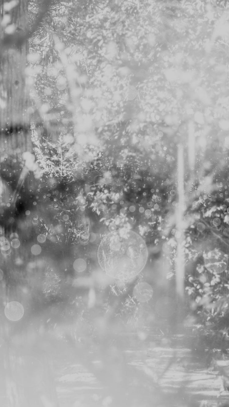 41504 Japanese Citrus | Diffar_Fragrance Hair Oil | ディファー_