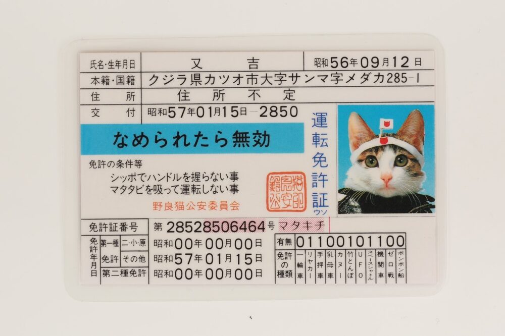 昭和の男女を胸キュンさせた、『なめ猫グッズ』を覚えているか？ | Dig