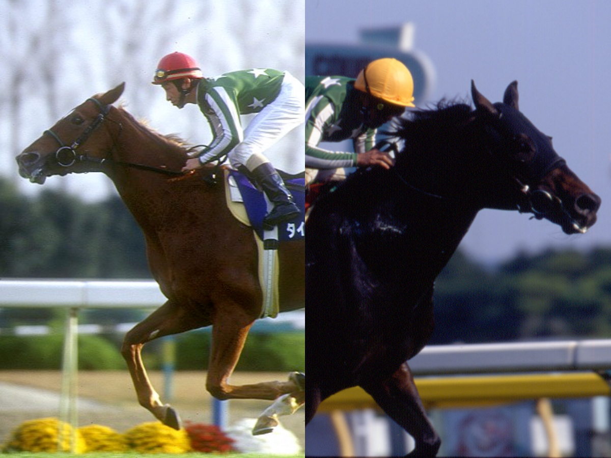 一口クラブ「大樹ファーム」とは？ 主な所有馬・成績・勝負服など