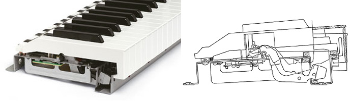 FATAR鍵盤：信頼のタッチ - Dirigent | ディリゲント