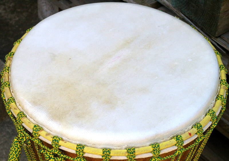 ジャンベ・太鼓・ドラム用ヤギ皮 ヤギ脱毛皮（パキスタン産）Djembe