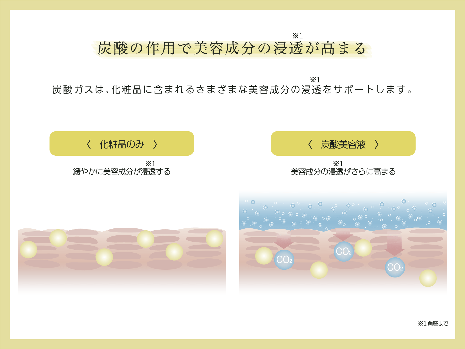 SKIN MOVE BOOSTER｜DOC Skincare｜肌のチカラを高め、肌を育む。自宅