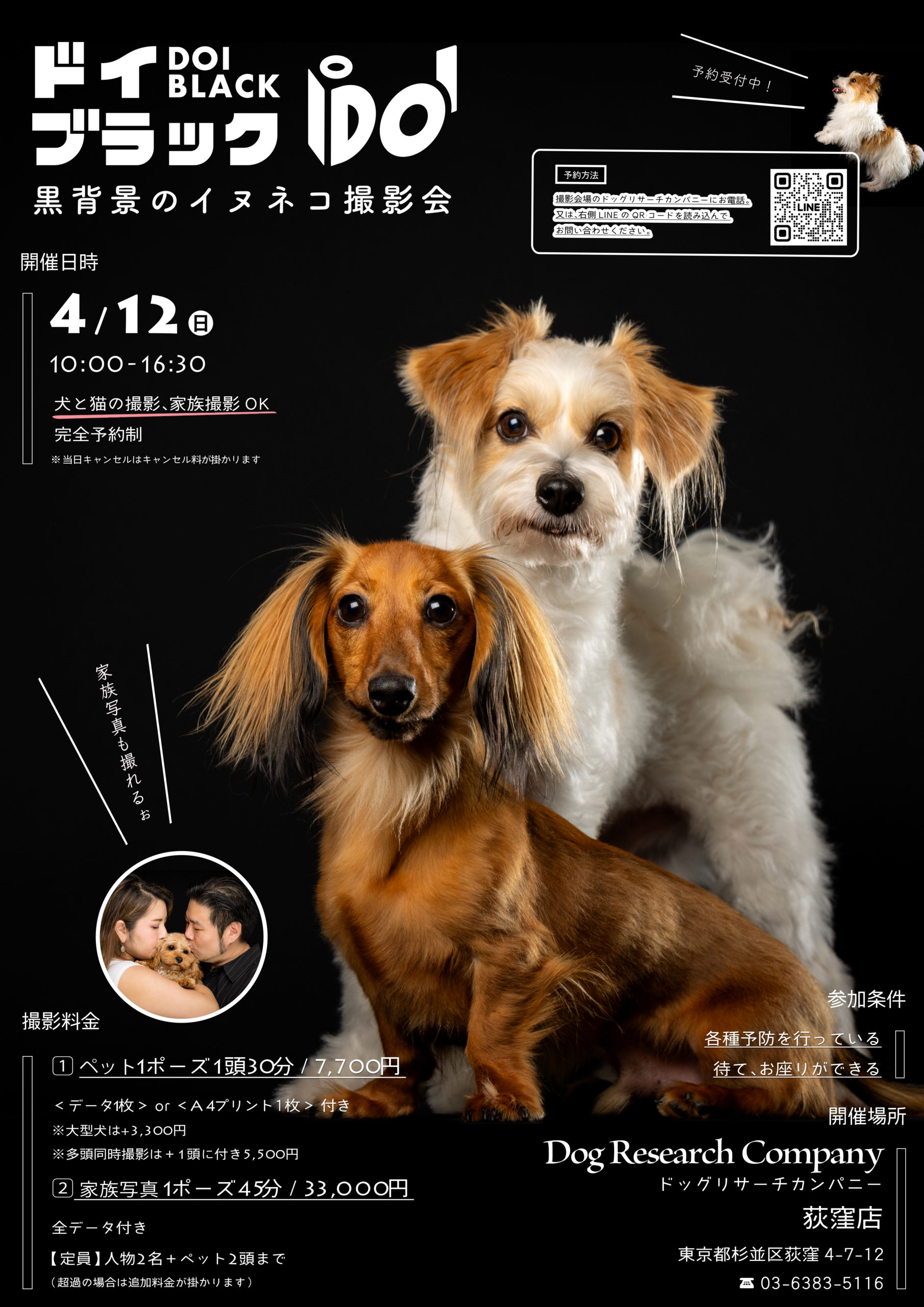 荻窪店にてドイブラック撮影会開催決定！ ‣ Dog Research Company