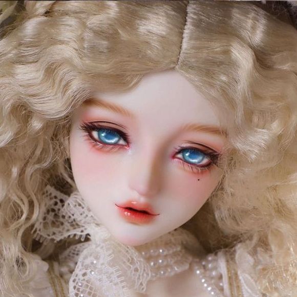 ▽△ヘッポコトーラス△▽ ドールスタンド 50本 ▽△ヘッポコトーラス