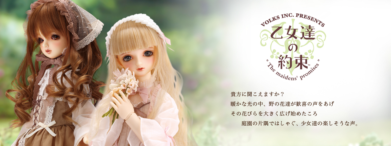 限定モデル | ボークス公式 ドルフィー総合サイト