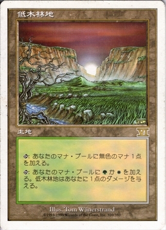 低木林地 商品検索 | ドラゴンスター | マジック：ザ・ギャザリング MTG