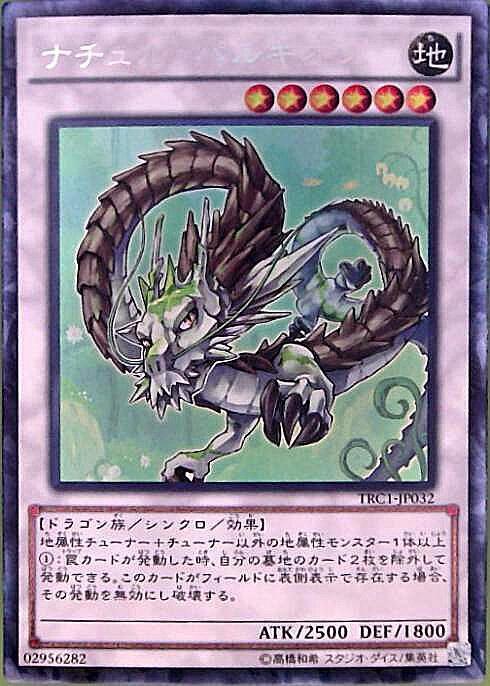 ナチュルパルキオン | コレクターズ | ドラゴンスター | 遊戯王