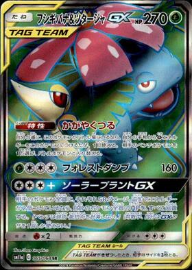 フシギバナ&ツタージャGX(065/064 SR) | SR | ドラゴンスター