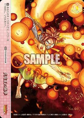 炎竜王の崩拳(FT/S120-072EX) | RRR+ | ドラゴンスター | ヴァイス